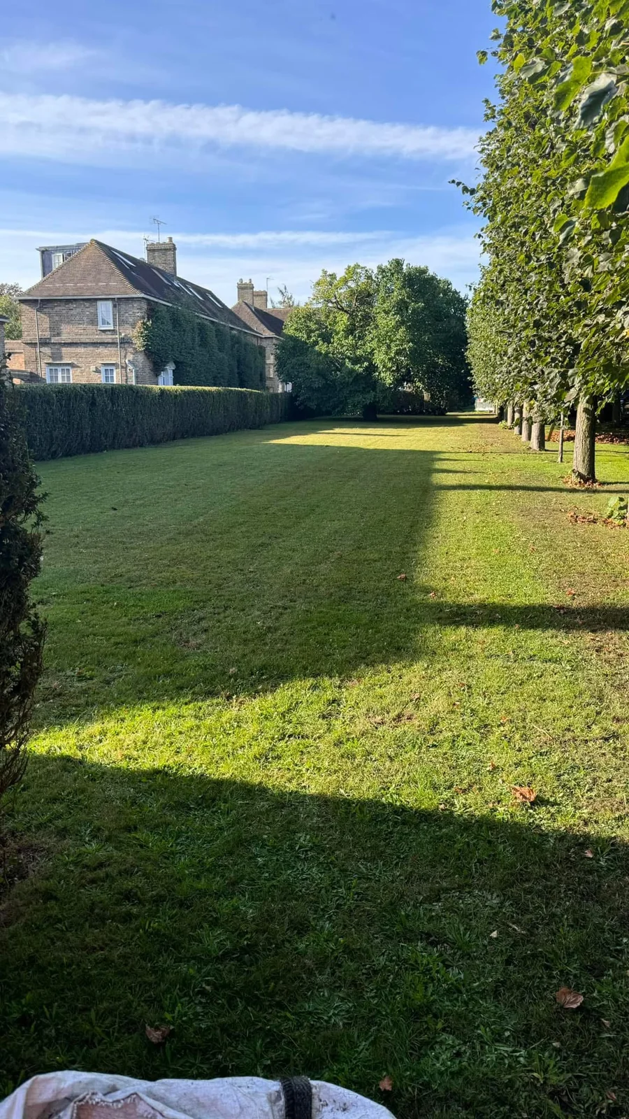 Lawn beside boundary